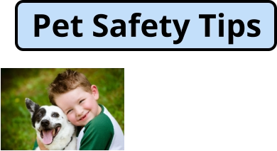 Pet Safety Tips